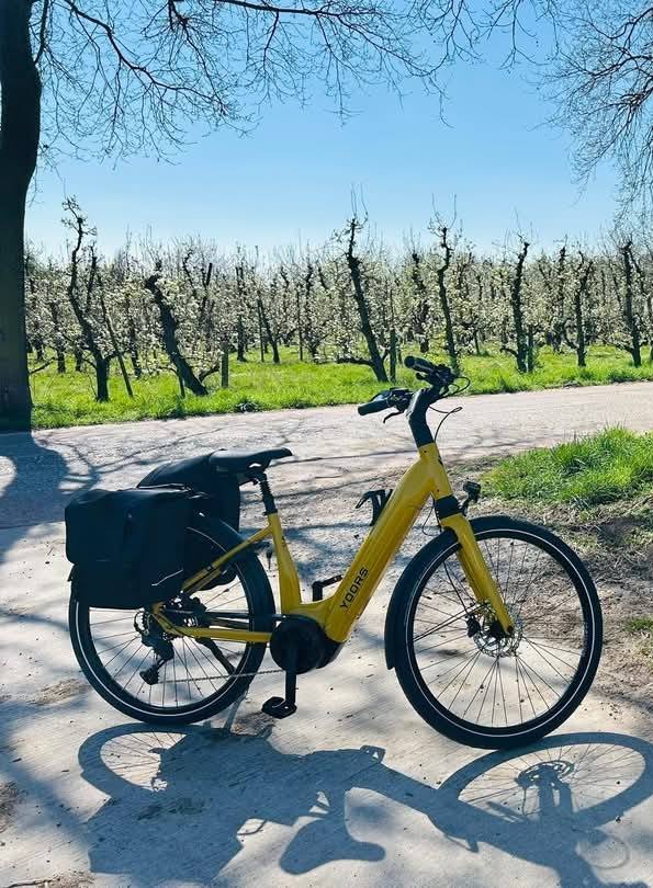 494231164_122143173782593958_4591167564086340529_n